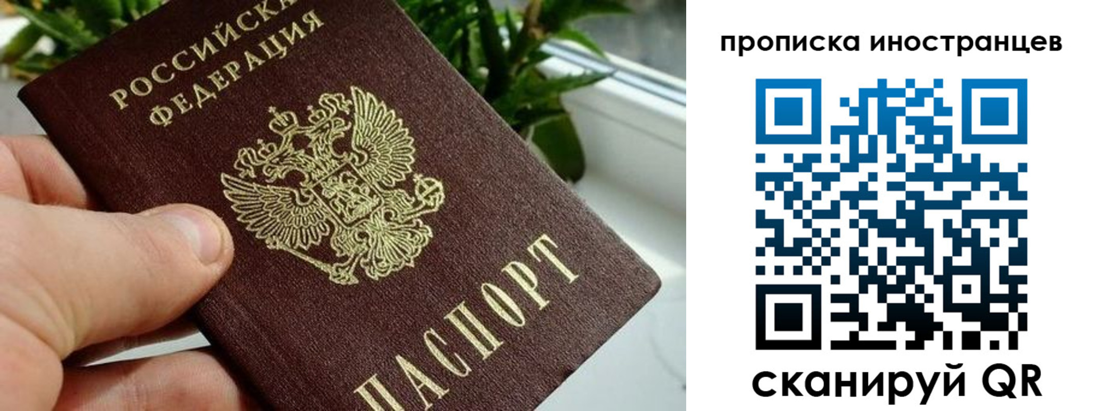 временная регистрация в Славгороде